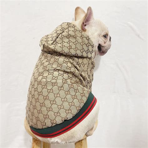 gucci dog despacito|gucci dog coats.